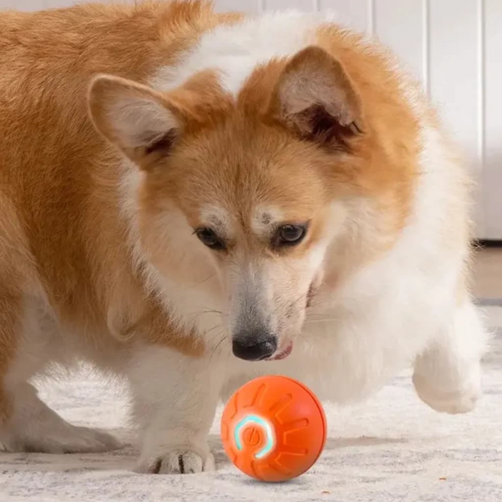 Juguete Pelota Interactiva Perro y Gatos Ejercicio Libera Ansiedad